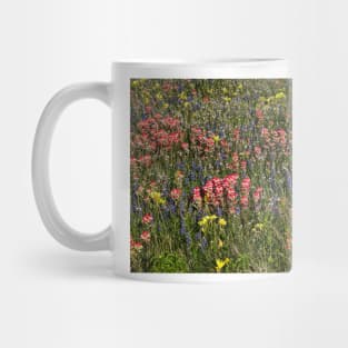 Field of Flowers in China Grove Mug